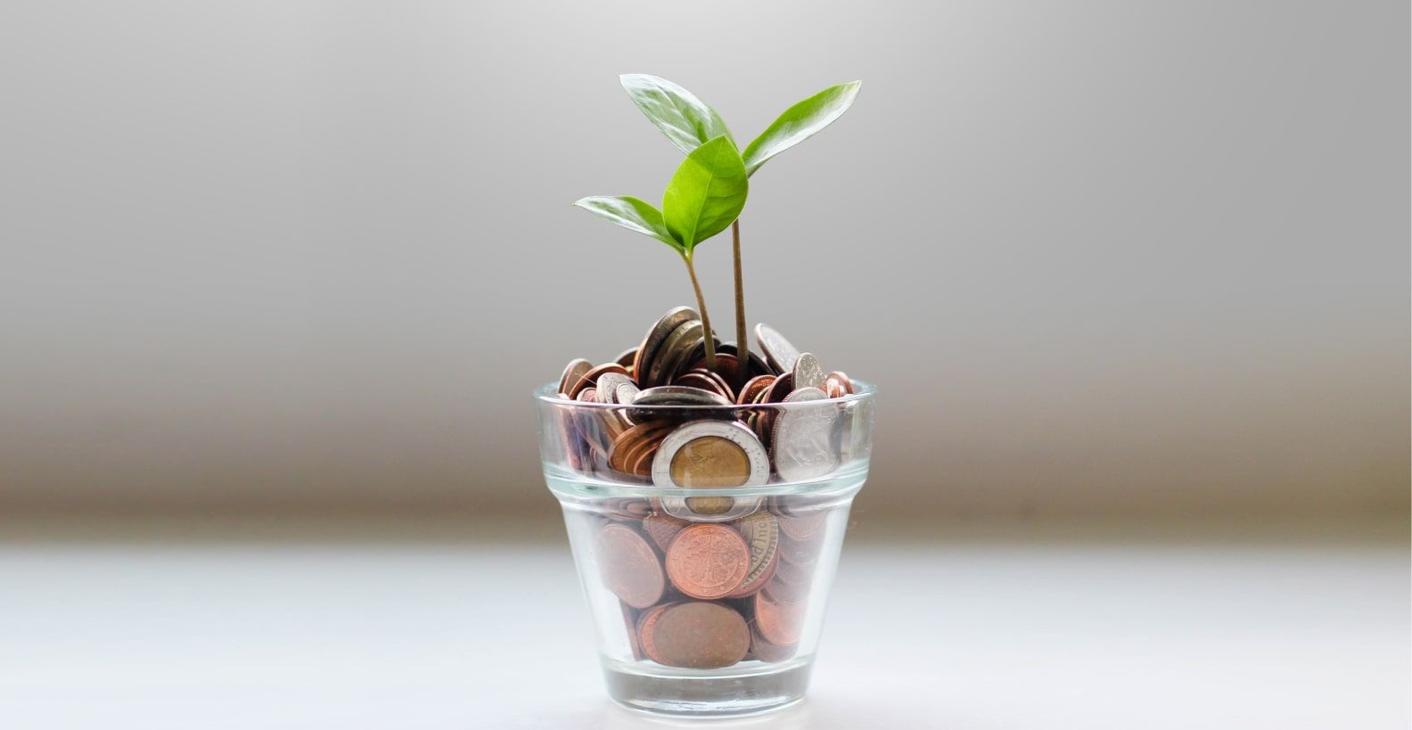 MASMOVIL LUZ y GAS - Excedentes y mantenimiento