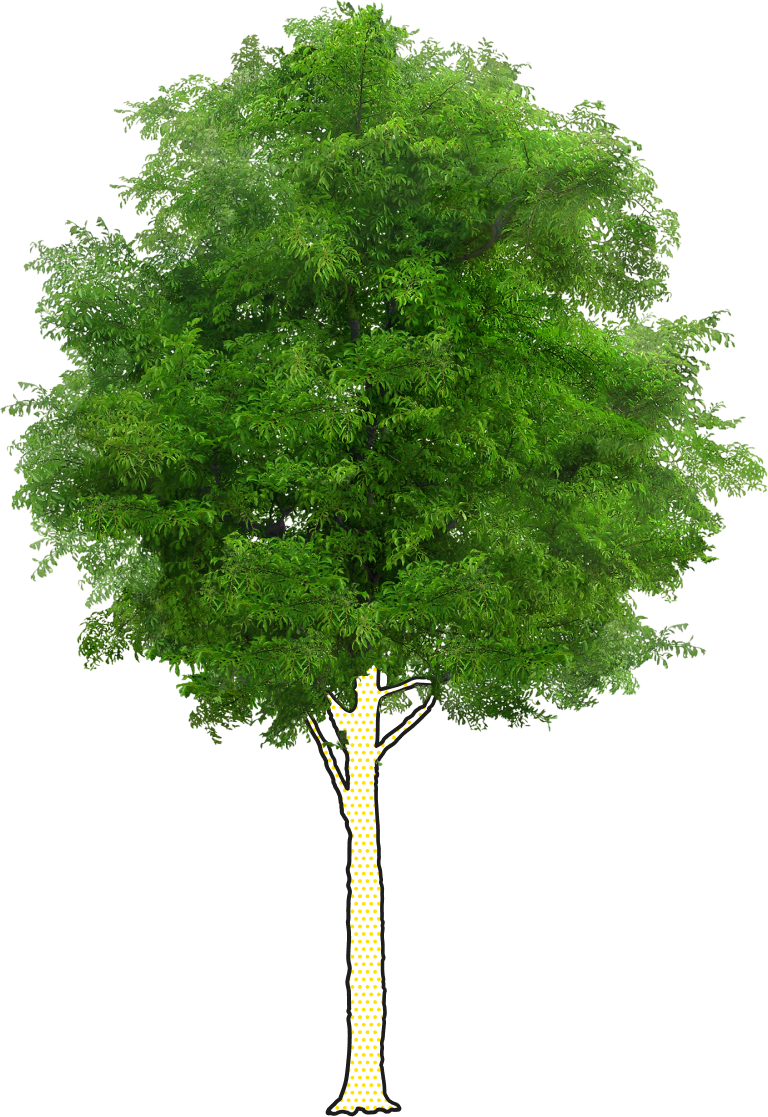 MASMOVIL LUZ y GAS -  No hay adornos, pero sí soluciones